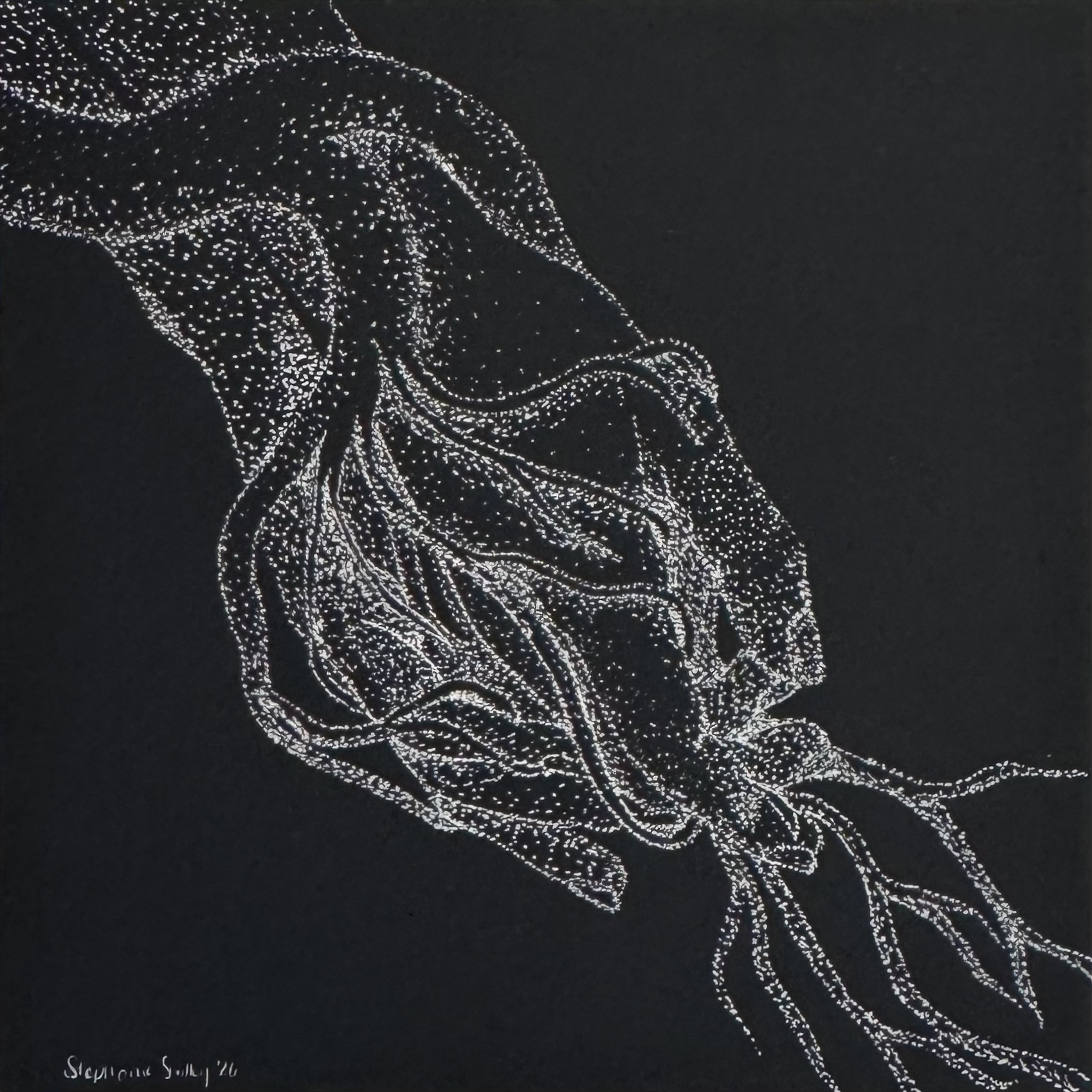 white dots on a black background create a image of roots growing around a hand