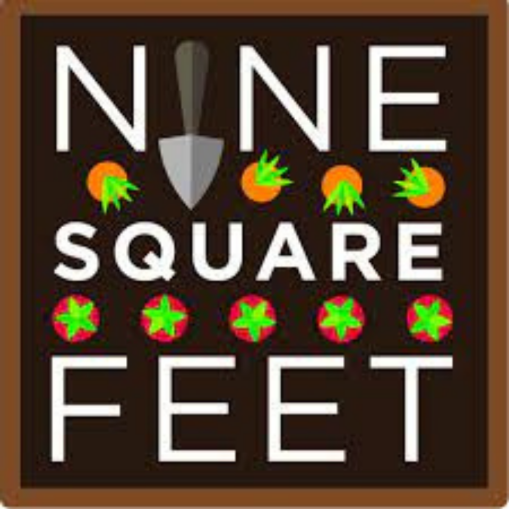 Nine Square Feet Logo 