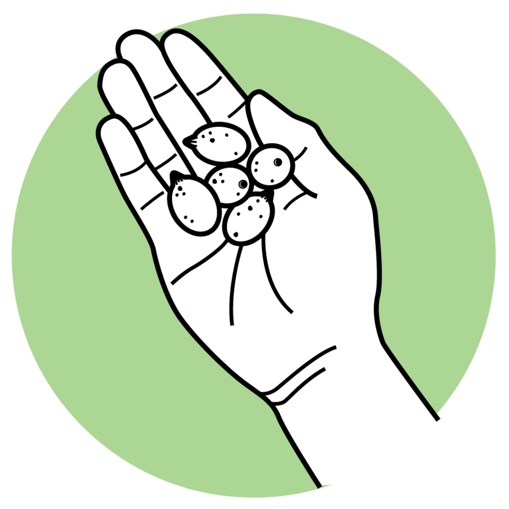 Infographic of a hand holding seeds
